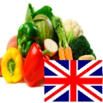 vegetables in english language android application logo